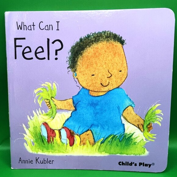 Preschool Book Lot Five Senses Set of 6 Annie Kubler Sally Hewitt Home School - Picture 11 of 16